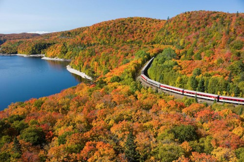 maple road train